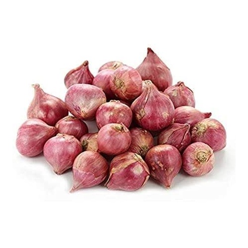 Onion Small