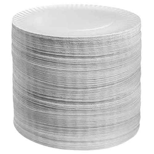 Paper Plate big