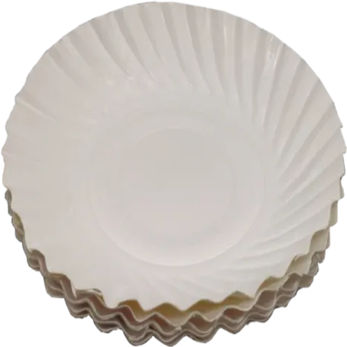 Paper Plate Medium