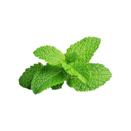 Puthina Leaf