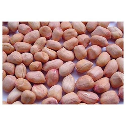 NilaKadalai 20Rs