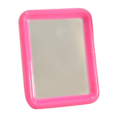 Mirror 35Rs