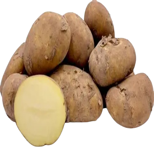Potato
