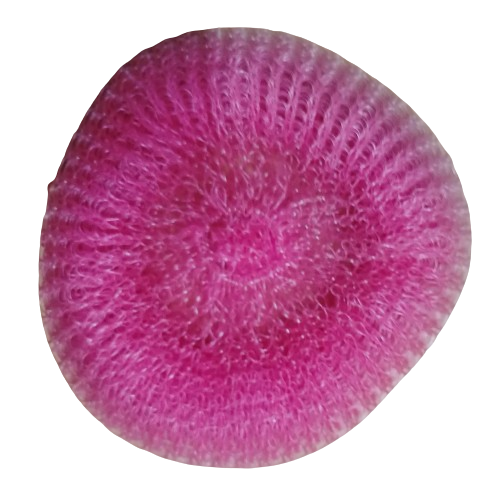 Scrubber Plastic 10Rs