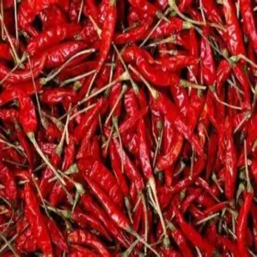 Red Chilli For Fry